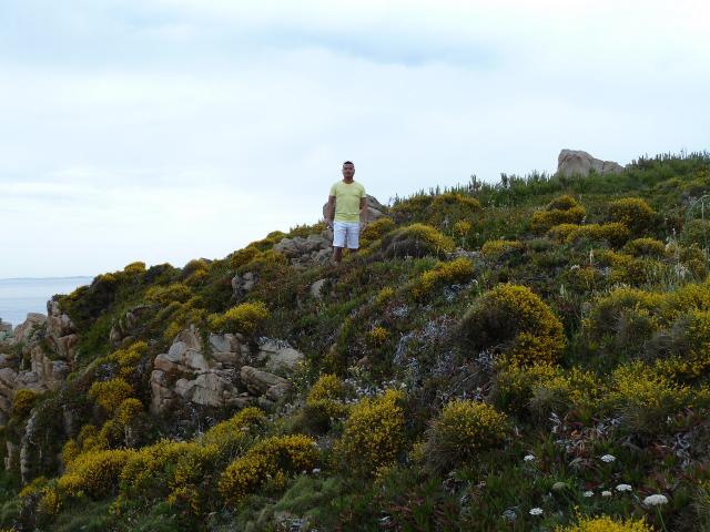 Dans le "maquis" Sarde